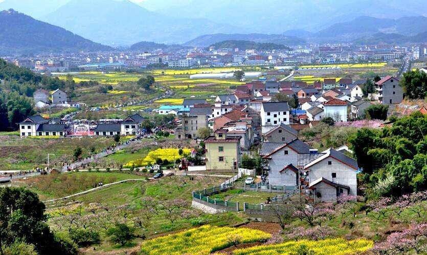 馬曉河 涂圣偉:實(shí)現(xiàn)農(nóng)民富、農(nóng)業(yè)強(qiáng)、農(nóng)村美的路線圖