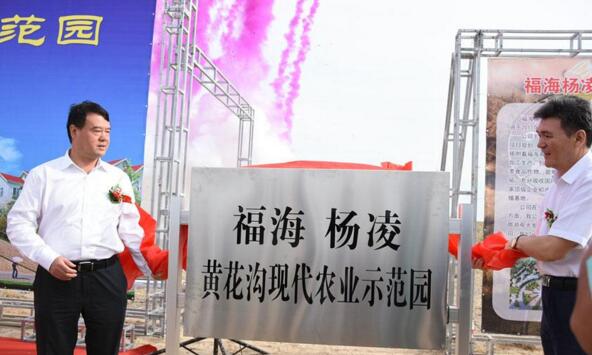 新疆福?？h攜手楊凌高新區(qū)打造中國高緯度農(nóng)業(yè)示范基地