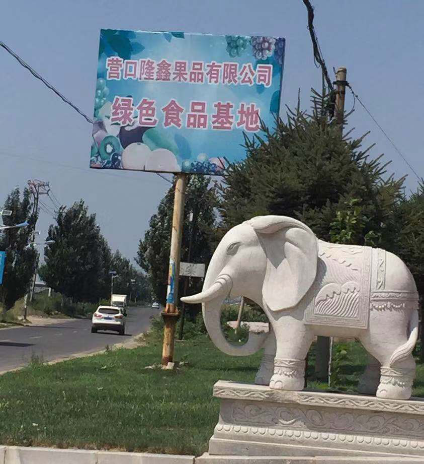 東北水果之鄉迎來發展新機遇,蓋州爭創省級現代農業產業園