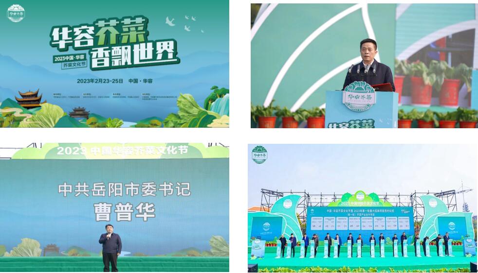 華容芥菜香飄四海，創建國家現代農業產業園恰逢其時