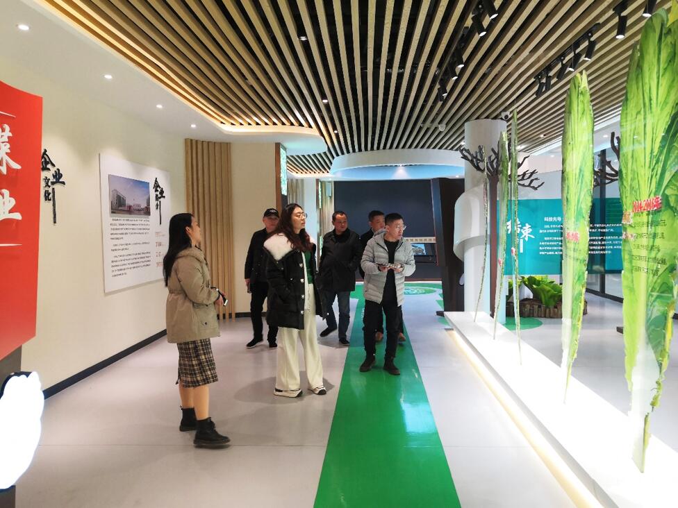 華容芥菜香飄四海，創建國家現代農業產業園恰逢其時
