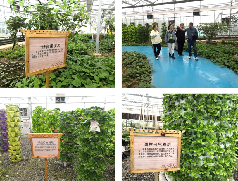 晉之源果蔬再啟航,曲沃開啟國家農業現代化示范區新征程