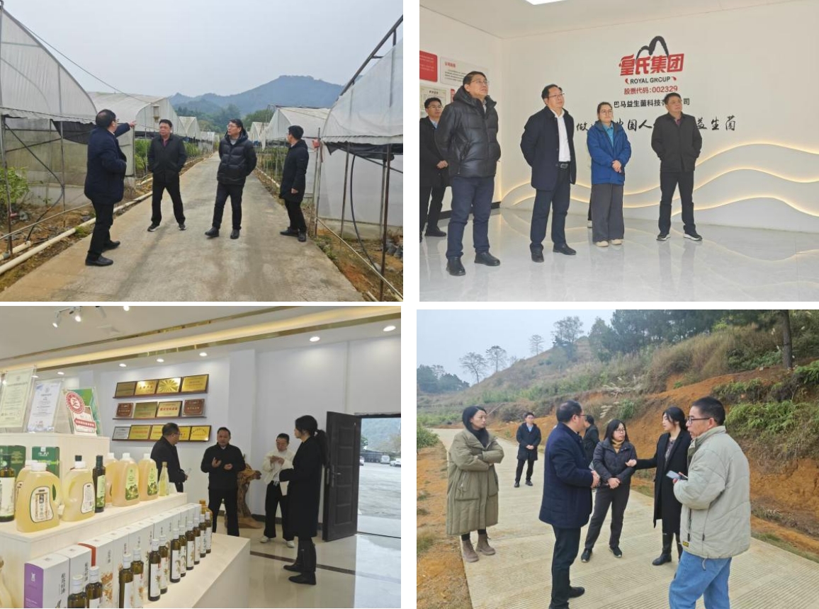 長壽之鄉，逐路之行——高新院專家組一行赴廣西巴馬瑤族自治縣開展河池農高區創建調研